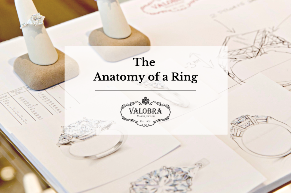 Anatomy of a Ring