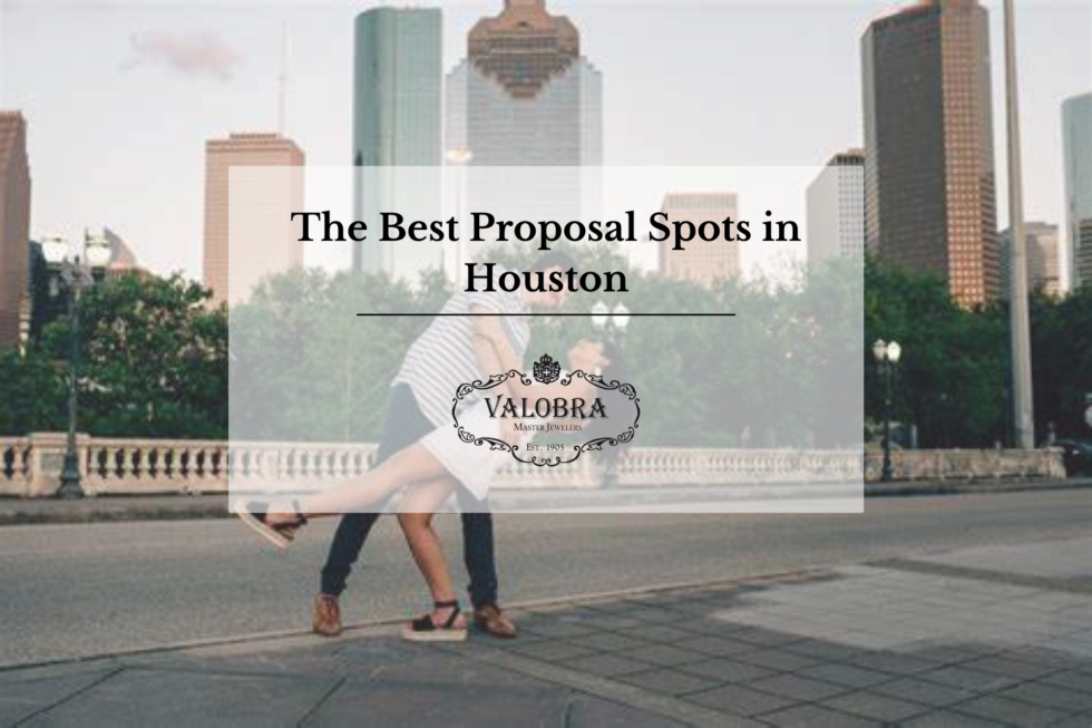 The Best Proposal Spots in Houston