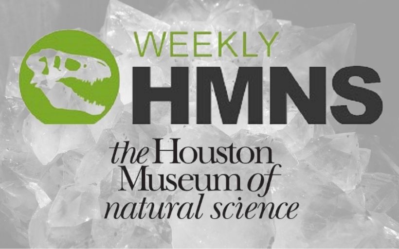 Newest Member of the Houston Museum of Natural Science……