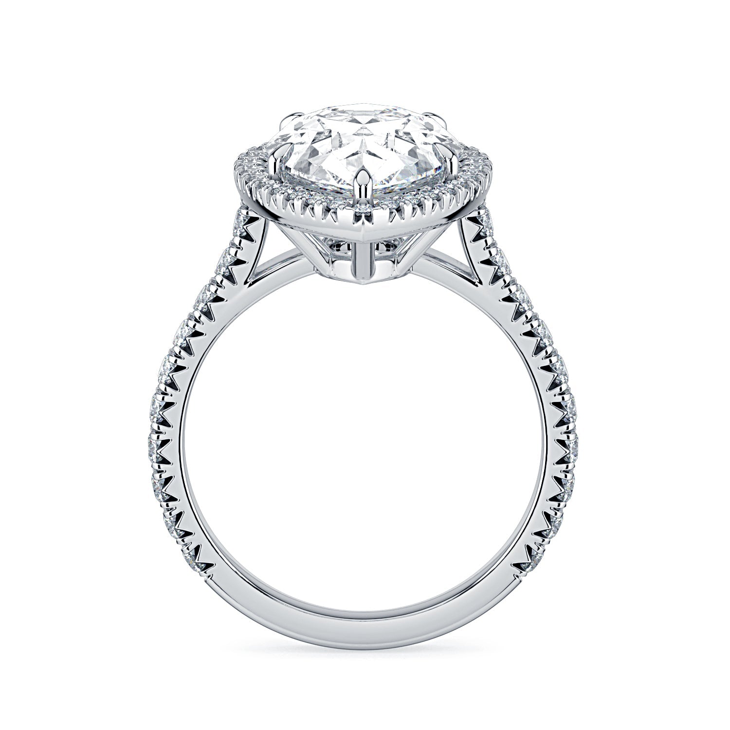 Pear Shape Halo & Pavé Diamond Engagement Ring - White