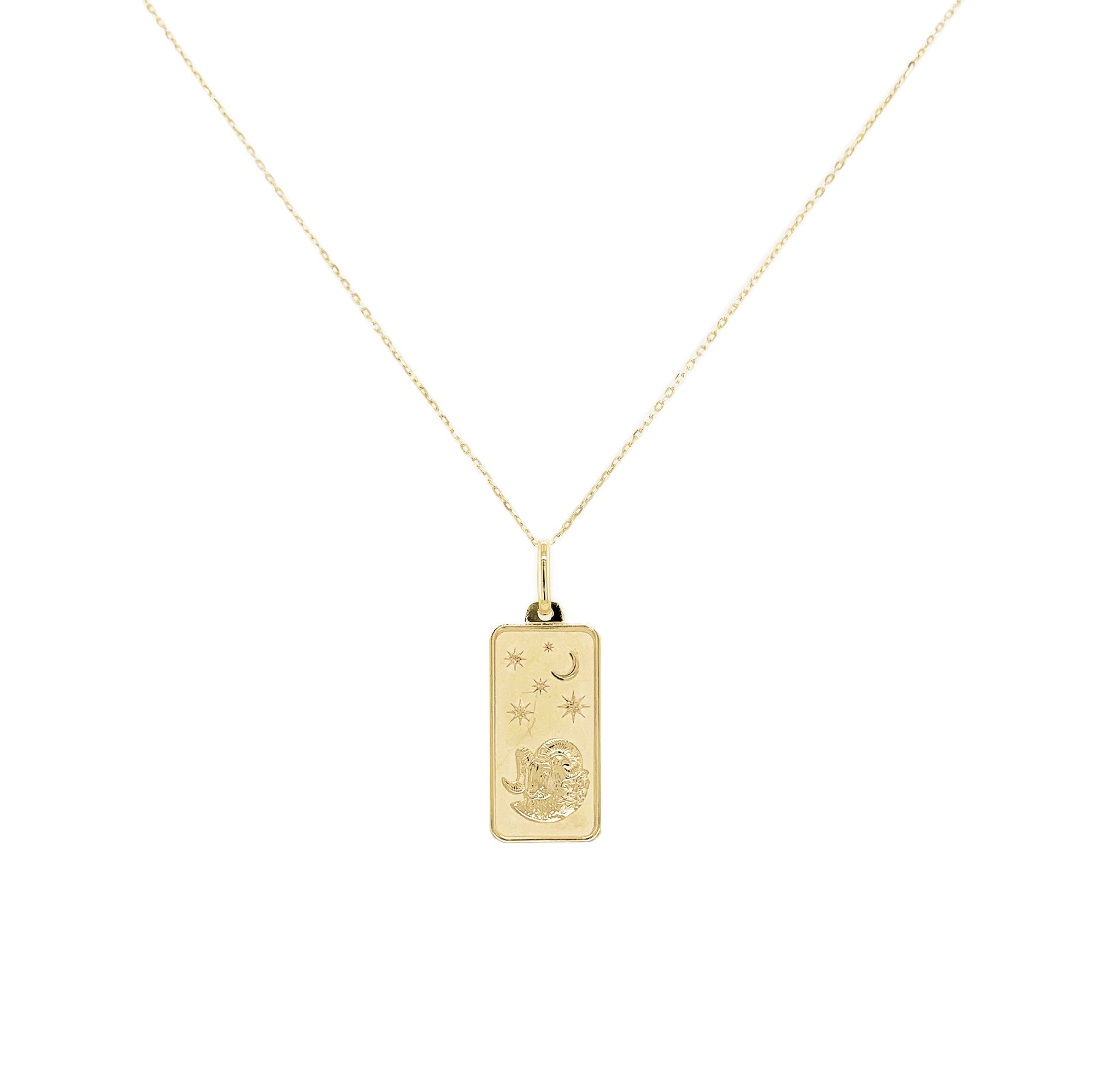 14K Gold Zodiac Dog Tag Necklace