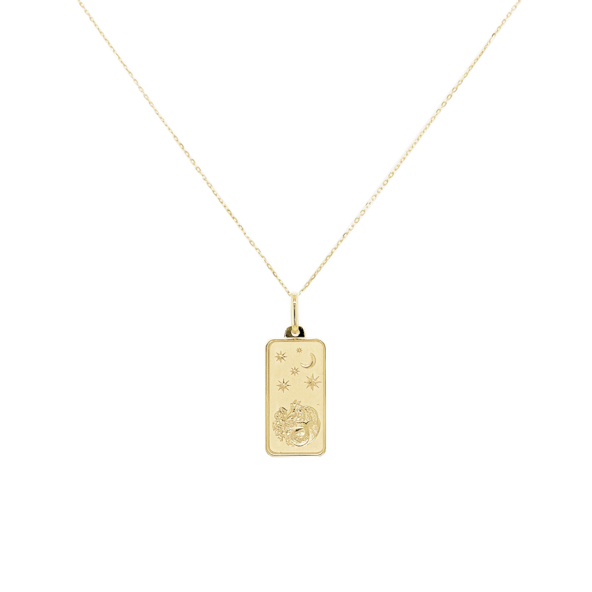 14K Gold Zodiac Dog Tag Necklace