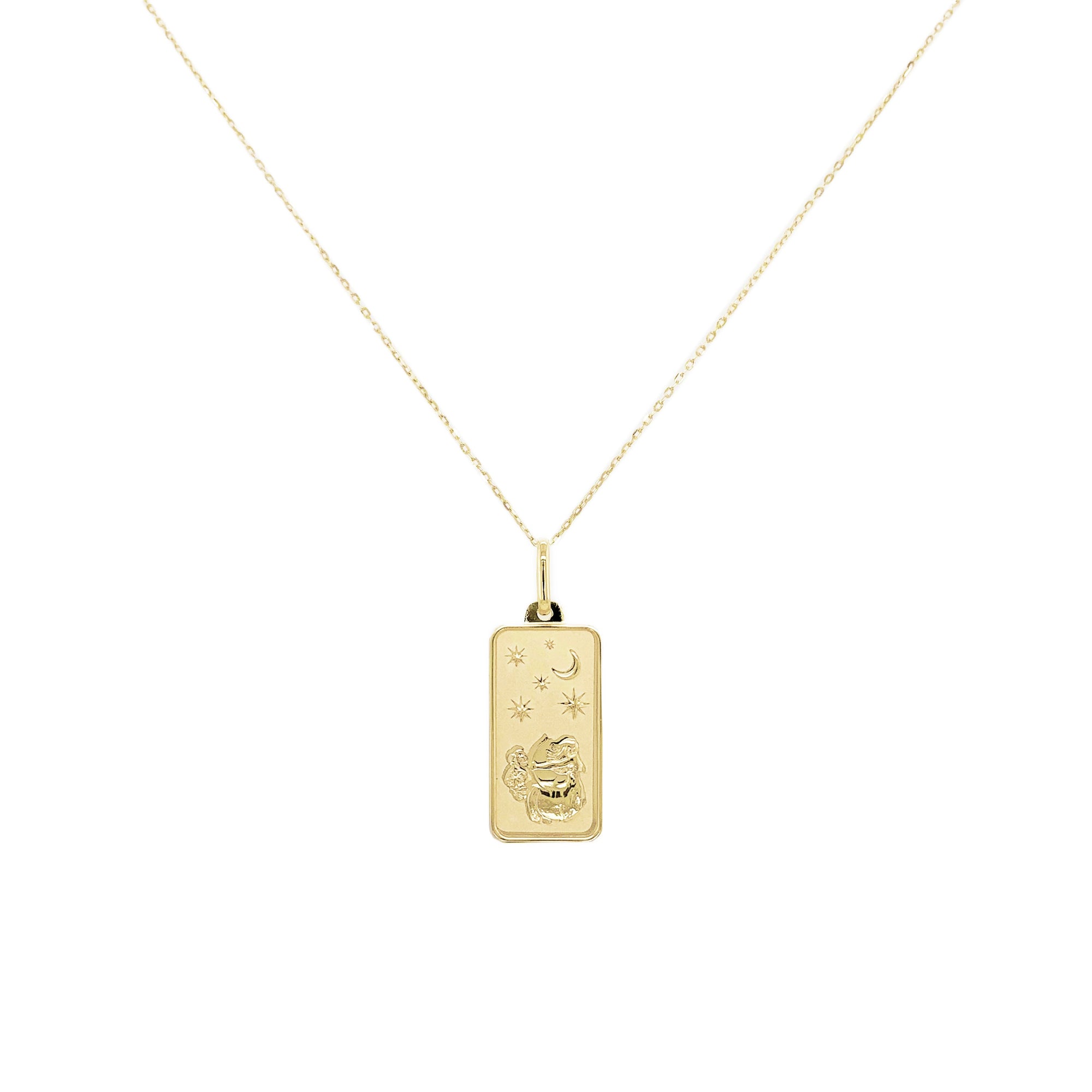 14K Gold Zodiac Dog Tag Necklace