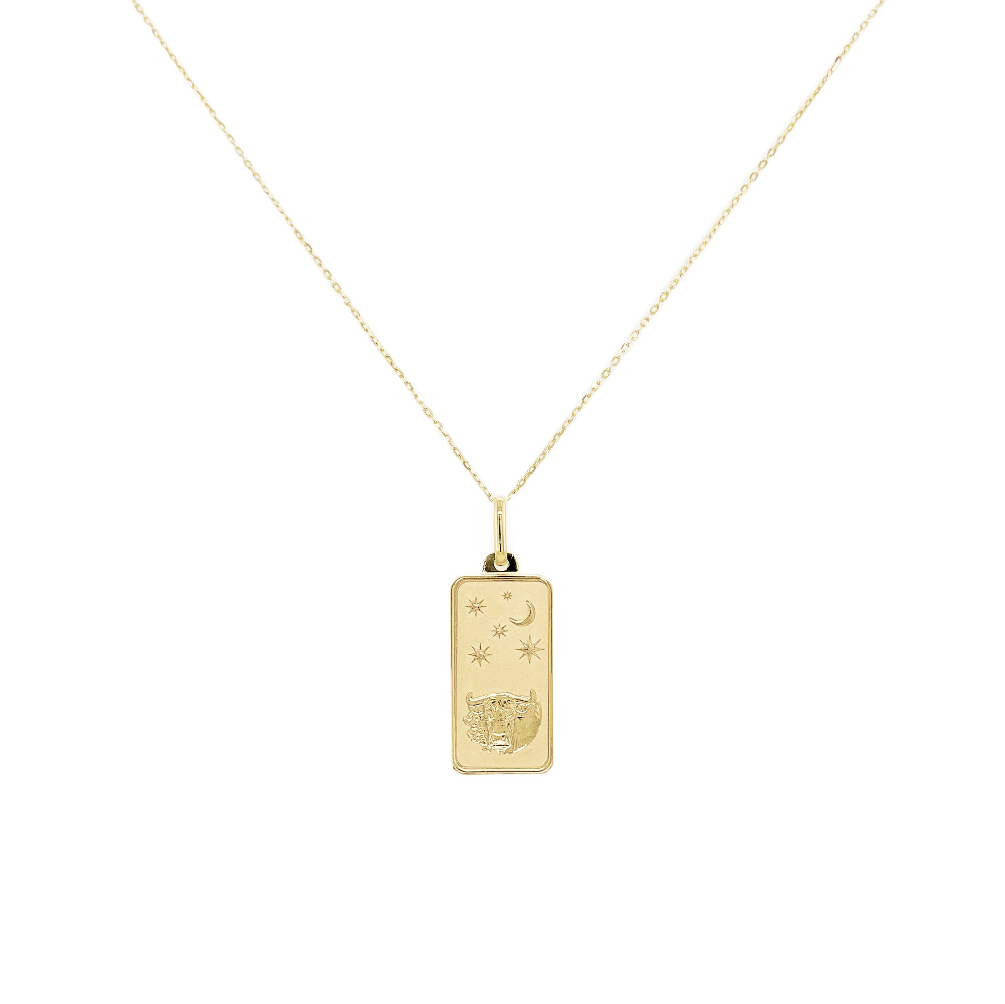 14K Gold Zodiac Dog Tag Necklace
