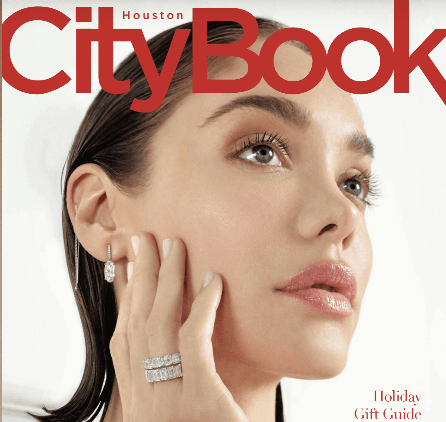 Holiday Gift Guide – Houston City Book