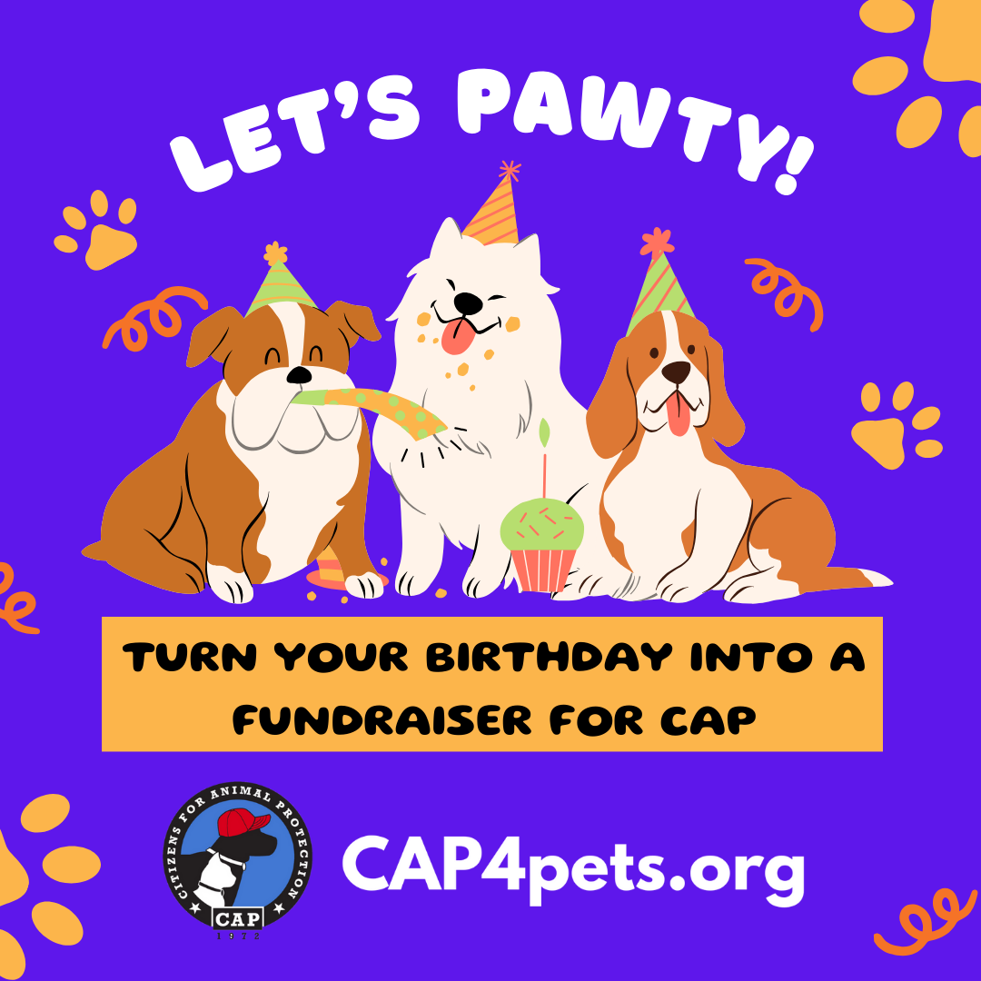 Citizens for Animal Protection