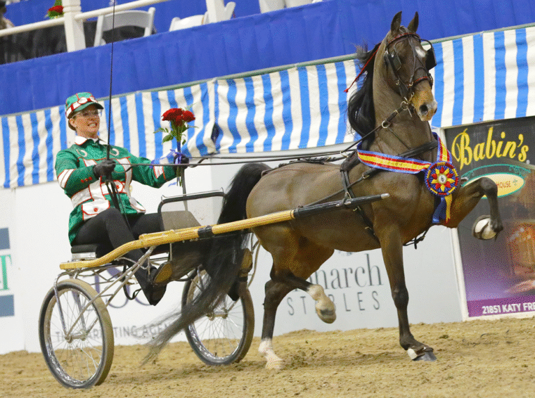 Pin Oak Charity Horse Show