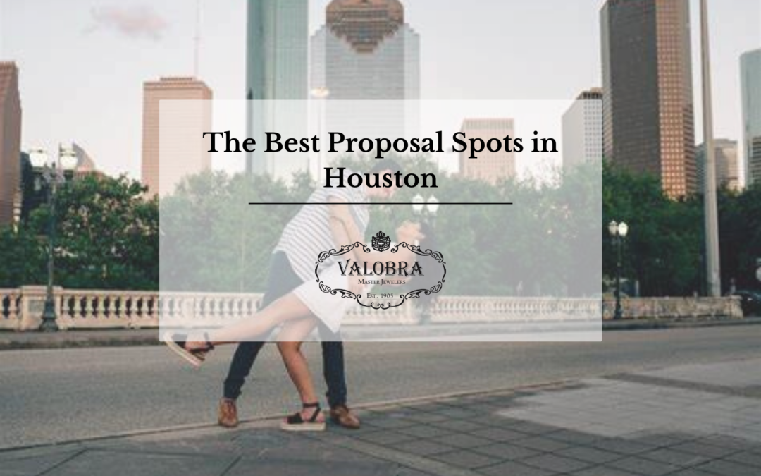The Best Proposal Spots in Houston
